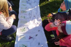 IMG_20221025_101936