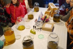 IMG_20221025_121926