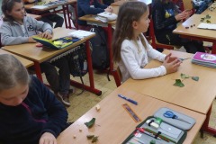IMG_20230411_104222
