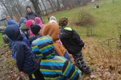 IMG_20230411_112620